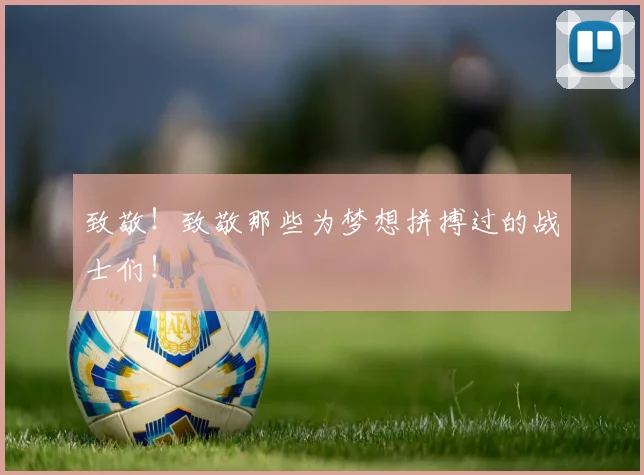 致敬！致敬那些为梦想拼搏过的战士们！
