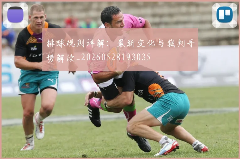 排球规则详解：最新变化与裁判手势解读_20260528193035