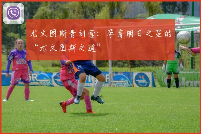 尤文图斯青训营:孕育明日之星的“尤文图斯之道”